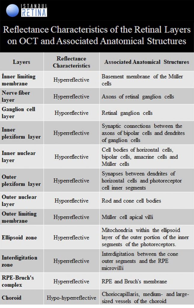 retinal layers oct